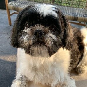 Meet your Posher, Chloe